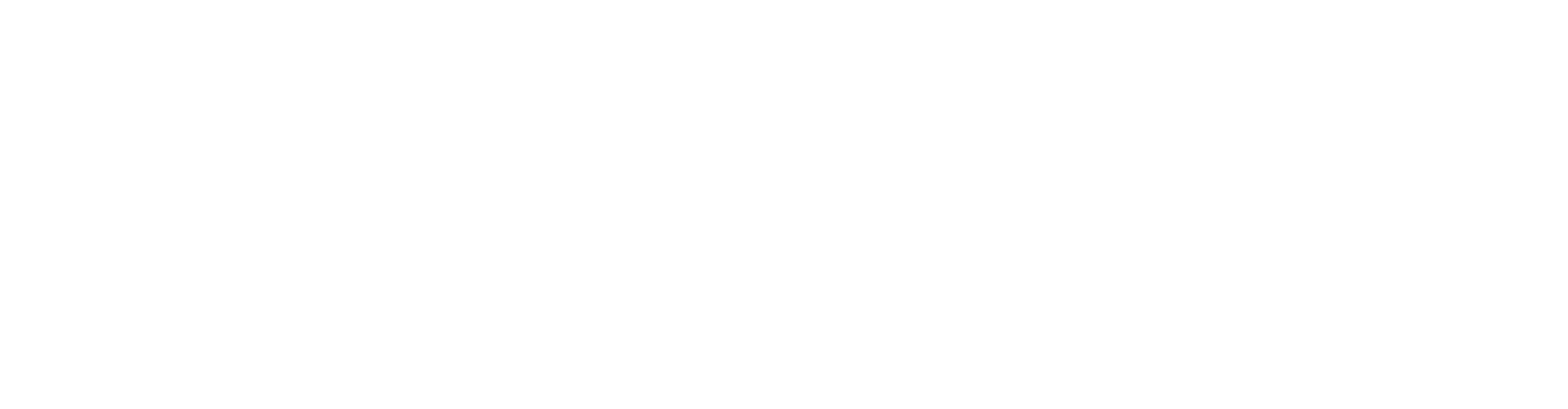 TuIntangible